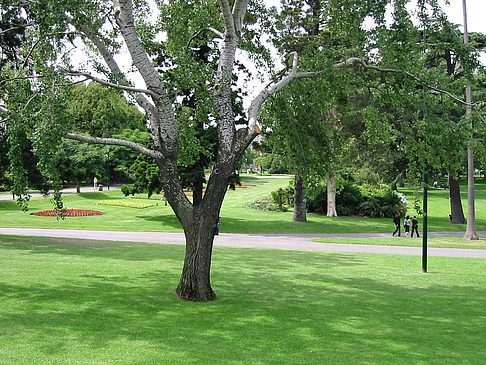 Park - Viktoria (Melbourne)